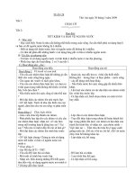 tuần 28 tiếng việt hoàng thị kiều thư viện giáo dục tỉnh quảng trị