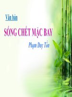 bài học môn ngữ văn thứ sáu 17042020  thcs trần quốc tuấn