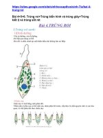 bài 4 trùng roi sinh học 7 nguyễn thị hoa thư viện giáo án điện tử