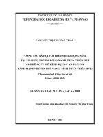 Công tác xã hội với trẻ em lao động sớm tại tổ chức trẻ em rồng xanh thừa thiên huế nghiên cứu trường hợp dự án an toàn và lành mạnh huyện phú vang tỉnh thừa thiên huế 