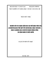 Luận án tiến sĩ nghiên cứu tác dụng giảm đau sau mổ bụng trên của levobupivacain phối hợp với sufentanil 