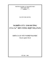 Khóa luận tốt nghiệp: Nghiên cứu ảnh hưởng của Cu2+ đến tổng hợp TiO2-PANi