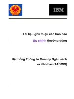 Tài liệu giới thiệu báo cáo tùy chỉnh thường dùng Hệ thống Thông tin Quản lý Ngân sách Kho bạc (TABMIS)
