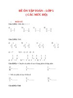 ÔN TOÁN lớp 5 (4mức độ) 