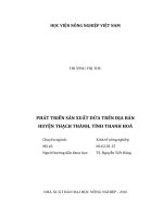 Phát triển sản xuất dứa trên địa bàn huyện thạch thành, tỉnh thanh hóa 