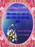 hinh hoa sinh học phân tử huỳnh văn hoà thư viện tư liệu giáo dục