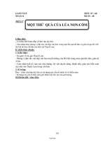 Giáo án Ngữ văn tuần 15