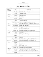 Giáo án Lớp 4 - Tuần 7 - Năm học 2005-2006