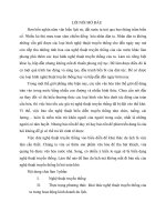 Tiểu luận nghệ thuật truyền thống Việt Nam