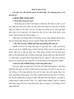 Môn Sở hữu trí tuệ: Các vấn đề liên quan tới nhãn hiệu, Tên thương mại và chỉ dẫn địa lý?