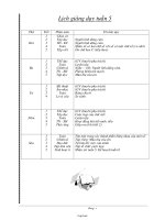 Giáo án Lớp 3 - Tuần 5-8 - Năm học 2006-2007