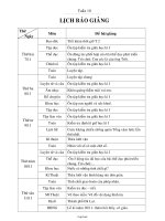 Giáo án Lớp 4 - Tuần 10 - Năm học 2005-2006