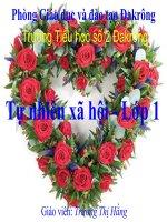 tranh sinh học 6 sinh học 6 trần anh mạnh thư viện tư liệu giáo dục