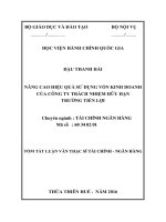 Tóm tắt Luận văn Thạc sĩ Tài chính Ngân hàng: Nâng cao hiệu quả sử dụng vốn kinh doanh của Công ty Trách nhiệm hữu hạn Trường Tiến Lợi