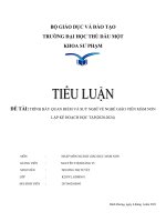 TIỂU LUẬN NHẬP MÔN NGÀNH  GIÁO DỤC MẦM NON