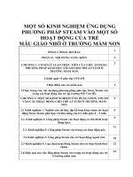 ỨNG DỤNG PP STEAM vào tổ chức các hoạt động giáo dục ở trường mầm non