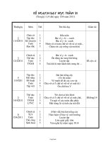 Giáo án dạy Lớp 3 Tuần 31 (29)