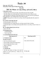 Giáo án Lớp 3 Tuần 30 - Sáng