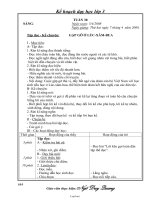 Giáo án Lớp 3 - Tuần 30 - Năm học 2007-2008 - Ngô Xuân Quang