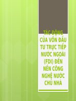 SEMINAR tác ĐỘNG của vốn đầu tư TRỰC TIẾP nước NGOÀI (FDI) đến nền CÔNG NGHỆ nước CHỦ NHÀ (đầu tư QUỐC tế) 