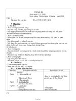 Giáo án Lớp 3 - Tuần 20 - Năm học 2008-2009