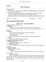 Giáo án Ngữ văn Lớp 6 - Bài 11 - Năm học 2010-2011