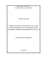 luận án tiến sĩ nghiên cứu đa dạng thành phần loài và mối quan hệ di truyền của các loài trong giống megophrys (amphibia megophryidae) ở việt nam 