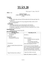 Giáo án dạy Lớp 3 Tuần 28 (41)
