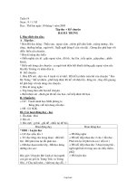 Giáo án Lớp 3 - Tuần 19 - Năm học 2004-2005