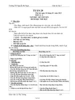 Giáo án Lớp 3 Tuần 29 - Lê Thị Tường - Trường TH Nguyễn Bá Ngọc
