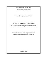 Đánh giá hiệu quả công việc tại công ty bất động sản viettel 