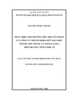 Phát triển thị trường tiêu thụ sản phẩm của công ty trách nhiệm hữu hạn một thành viên thuốc lá thăng long trên địa bàn tỉnh nghệ an 