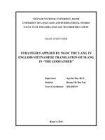 Strategies applied by ngoc thu lang in english vietnamese translation of slang in the godfather 