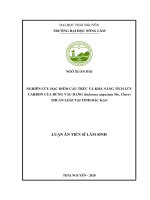 (Luận văn thạc sĩ) Nghiên cứu đặc điểm cấu trúc và khả năng tích lũy carbon của rừng vầu đắng (Indosasa angustata Mc. Clure) thuần loài tại tỉnh Bắc Kạn