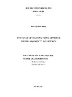 Bảo vệ người tiêu dùng trong giao dịch thương mại điện tử tại việt nam 