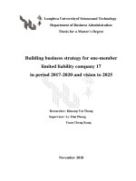 Building business strategy for one member limited liability company 17 in period 2017 2020 and vision to 2025 