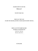 Pháp luật việt nam về góp vốn thành lập công ty bằng quyền sở hữu trí tuệ 