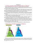 Đáp án module 3 THCS Môn Khoa học tự nhiên