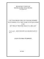 LUẬN VĂN THẠC SỸ HOÀN CHỈNH (KINH TẾ) các GIẢI PHÁP CHO các DOANH NGHIỆP  XUẤT KHẨU của VIỆT NAM vượt QUA rào cản kỹ THUẬT THƯƠNG mại của HOA kỳ