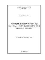 Định tội danh với nhóm tội xâm phạm sở hữu tại tỉnh bình định giai đoạn 2006 2010 
