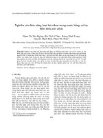 Nghiên cứu khả năng loại bỏ niken trong nước bằng vỏ lạc biến tính axit citric 