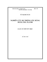 Nghiên cứu dự phòng sâu răng bằng Gel fluor