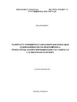 (Luận văn thạc sĩ) Nghiên cứu ảnh hưởng của hoạt động khai thác quặng tại mỏ Antimon Làng Vài huyện Chiêm Hóa  tỉnh Tuyên Quang đến môi trường khu vực và đề xuất các biện pháp giảm thiểu