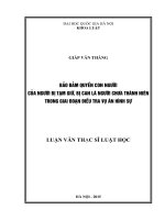 Bảo đảm quyền con người của người bị tạm giữ bị can là người chưa thành niên trong giai đoạn điều tra vụ án hình sự 