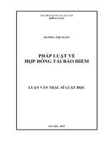 Pháp luật thuế xuất nhập khẩu trong điều kiện việt nam thực thi cam kết wto 