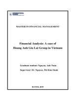 Financial analysis a case of hoang anh gia lai group in vietnam 