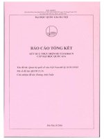 Quan hệ quốc tế của việt nam thế kỷ XVII   XVIII 