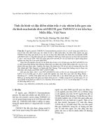 Tính đa hình và đặc điểm nhân trắc ở các nhóm kiểu gen của đa hình nucleotide đơn rs6548238 gen TMEM18 ở trẻ tiểu học miền bắc việt nam 