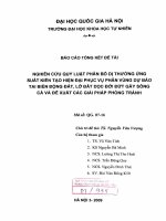 Nghiên cứu quy luật phân bố dị thường ứng suất kiến tạo hiện đại phục vụ phân vùng dự báo tai biến động đất lở đất dọc đới đứt gãy sông cả và đề xuất các giải pháp phòng tránh 