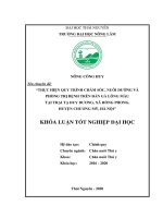 Thực hiện quy trình chăm sóc, nuôi dưỡng và phòng trị bệnh trên đàn gà lông màu tại trại tạ duy dương, xã hồng phong, huyện chương mỹ, hà nội 